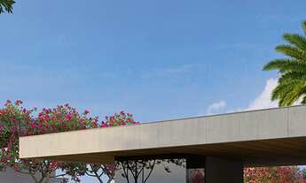 Imagem: Terreno em Lançamentos no bairro Curumim