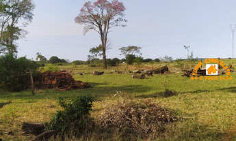 Imagem 3: SÍTIO 4,5 ALQS Fazenda / sítio com 3 dormitórios