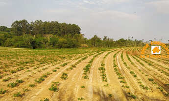 Imagem 7: SÍTIO, 12M² de Área Construída na Estrada Aeroporto 500mts