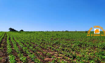 Imagem 3: CHÁCARA, 3 dormitórios na Estrada Bela Vista A 50 Mts Do Ecoville Iii