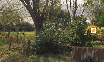 Imagem 7: SÍTIO 4,5 ALQS Fazenda / sítio com 3 dormitórios