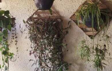 Imagem 3: Casa para Venda em Itu, Parque Residencial Presidente Médici, 3 dormitórios, 1 suíte, 1 ba