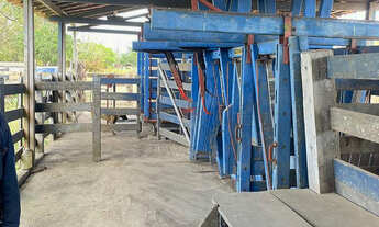 Imagem: Fazenda Pecuária Arari-MA (580ha) 13 Açudes