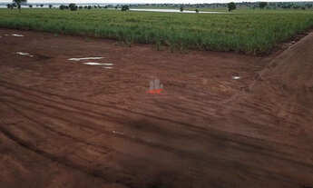 Imagem 5: Fazenda 140 Alqueires Arrendada para Usina São Martinho GO