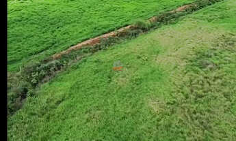 Imagem 4: Fazenda em Palmas TO: 2.265ha com Alta Argila e Chuva