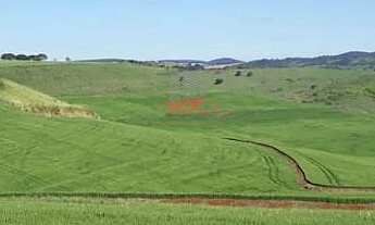 Imagem 2: Fazenda em Borrazópolis: 123 Alq, sendo 85 Alq de Lavoura