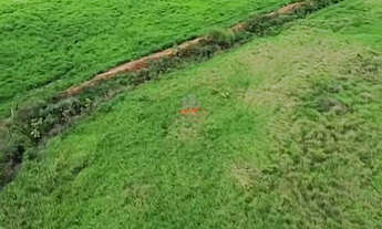 Imagem 6: Fazenda em Palmas TO: 2.265ha com Alta Argila e Chuva