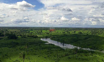 Imagem 6: Fazenda Alto Padrão MA: 2.170ha, BR-316, Pecuária/Soja
