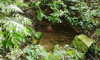 Imagem 2: Chácara Balsa Nova: Piscina, 6.000m², Airbnb e Vista