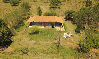 Imagem 7: Fazenda 272 ha em João Pinheiro-MG: 100% Plana e com Poço