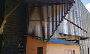 Imagem 2: Fazenda em Piraquara: Leite, Grãos e Silo para 12 mil Sacos