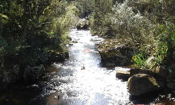 Imagem 7: Urubici: 456ha no Campo dos Padres a 1.823m de Altitude