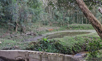 Imagem 3: Chácara Venda em Balsa Nova- Bugre