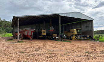 Imagem 4: Fazenda 1.752ha em Pedro Afonso-TO: Lavoura e Pecuária