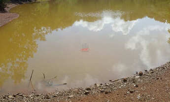 Imagem: Fazenda 684 ha em Palmeirais-PI 2km do