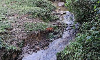 Imagem 6: Terreno 12.000M com Córrego! Balsa Nova/Itambé