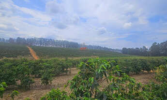 Imagem 5: Fazenda de Café em Capelinha MG: 970 Hectares à Venda