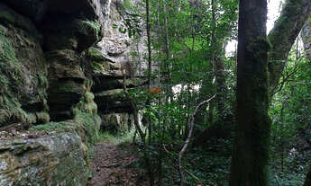 Imagem 5: Chácara Venda em Balsa Nova- Bugre