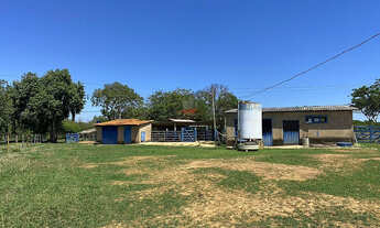 Imagem 6: Fazenda 272 ha em João Pinheiro-MG: 100% Plana e com Poço