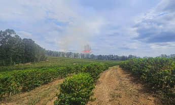 Imagem 6: Fazenda de Café em Capelinha MG: 970 Hectares à Venda