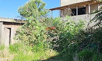 Imagem 2: Terreno 12x20m Araucária: Próximo BR-476, Max Atacadista