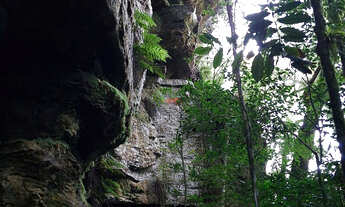 Imagem 6: Chácara Venda em Balsa Nova- Bugre