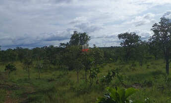 Imagem 2: Fazenda 684 ha em Palmeirais-PI: 2km do Asfalto e Doc OK