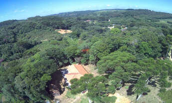 Imagem 7: Chácara venda 21.600m² Mandirituba/Aceita troca