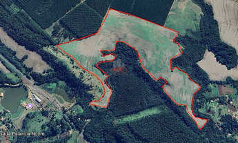 Imagem 4: Fazenda em Ortigueira: 45 Alq, 25 de Soja na BR-376