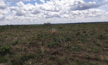 Imagem 5: Fazenda 1740 ha no norte do Tocantins