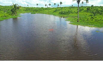 Imagem: Fazenda Alto Padrão MA 2.170ha, BR-316