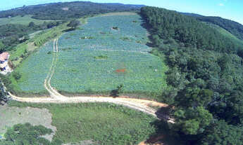 Imagem: Chácara venda 21.600m² Mandirituba/Aceita