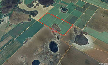 Imagem: Fazenda 42 Alqueires em Batayporã Cana