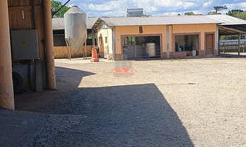 Imagem 5: Fazenda em Piraquara: Leite, Grãos e Silo para 12 mil Sacos