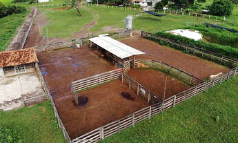 Imagem 5: Fazenda 544 ha à Venda em São Pedro da Ponte Firme - MG