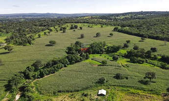 Imagem 6: Fazenda de Luxo em Mairipotaba: 30 Alq. a 80km de Goiânia