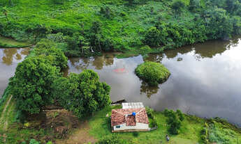 Imagem: Fazenda 85 Alq. Em Paraíso-TO