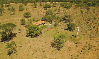 Imagem: Fazenda 272 ha em João Pinheiro-MG 100