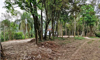 Imagem 7: Terreno 12.000M com Córrego! Balsa Nova/Itambé