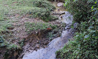 Imagem 4: Chácara Venda em Balsa Nova- Bugre