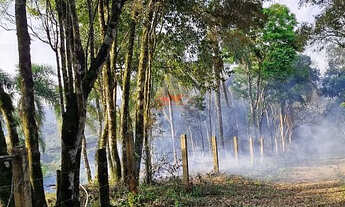 Imagem: Terreno 12.000M com Córrego! Balsa Nova/Itambé