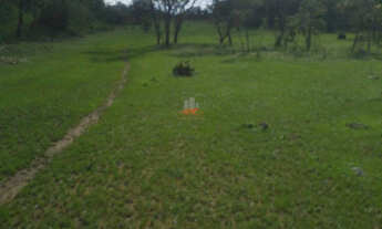 Imagem 6: Fazenda 684 ha em Palmeirais-PI: 2km do Asfalto e Doc OK