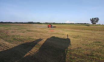 Imagem 6: Fazenda 1740 ha no norte do Tocantins