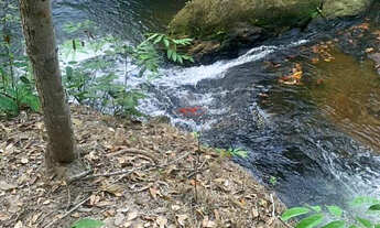 Imagem: Fazenda em Pedro Afonso TO 62 Alq. Dupla