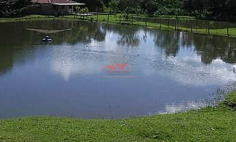 Imagem 4: Chácara em Mandirituba: 18 mil m² perto do Ceasa e BR-116