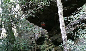 Imagem 7: Chácara Venda em Balsa Nova- Bugre