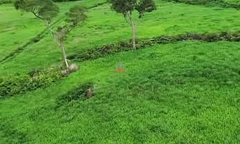 Imagem: Fazenda em Palmas TO 2.265ha com Alta Argila
