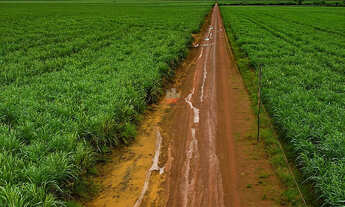 Imagem 2: Fazenda 4.279 Há em Itacajá e Goiatins TO