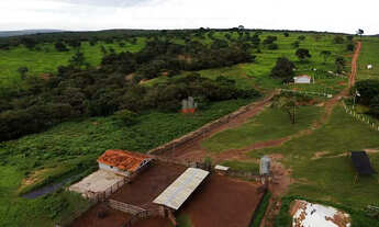 Imagem 2: Fazenda 544 ha à Venda em São Pedro da Ponte Firme - MG