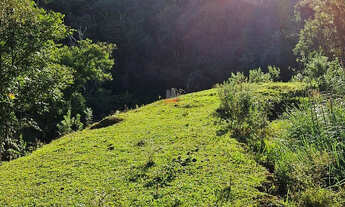 Imagem: Chácara Venda em Balsa Nova- Bugre